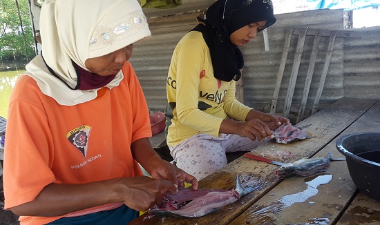 Detail Gambar Letak Duri Ikan Bandeng Nomer 16