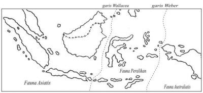 Detail Gambar Letak Geografis Indonesia Nomer 28