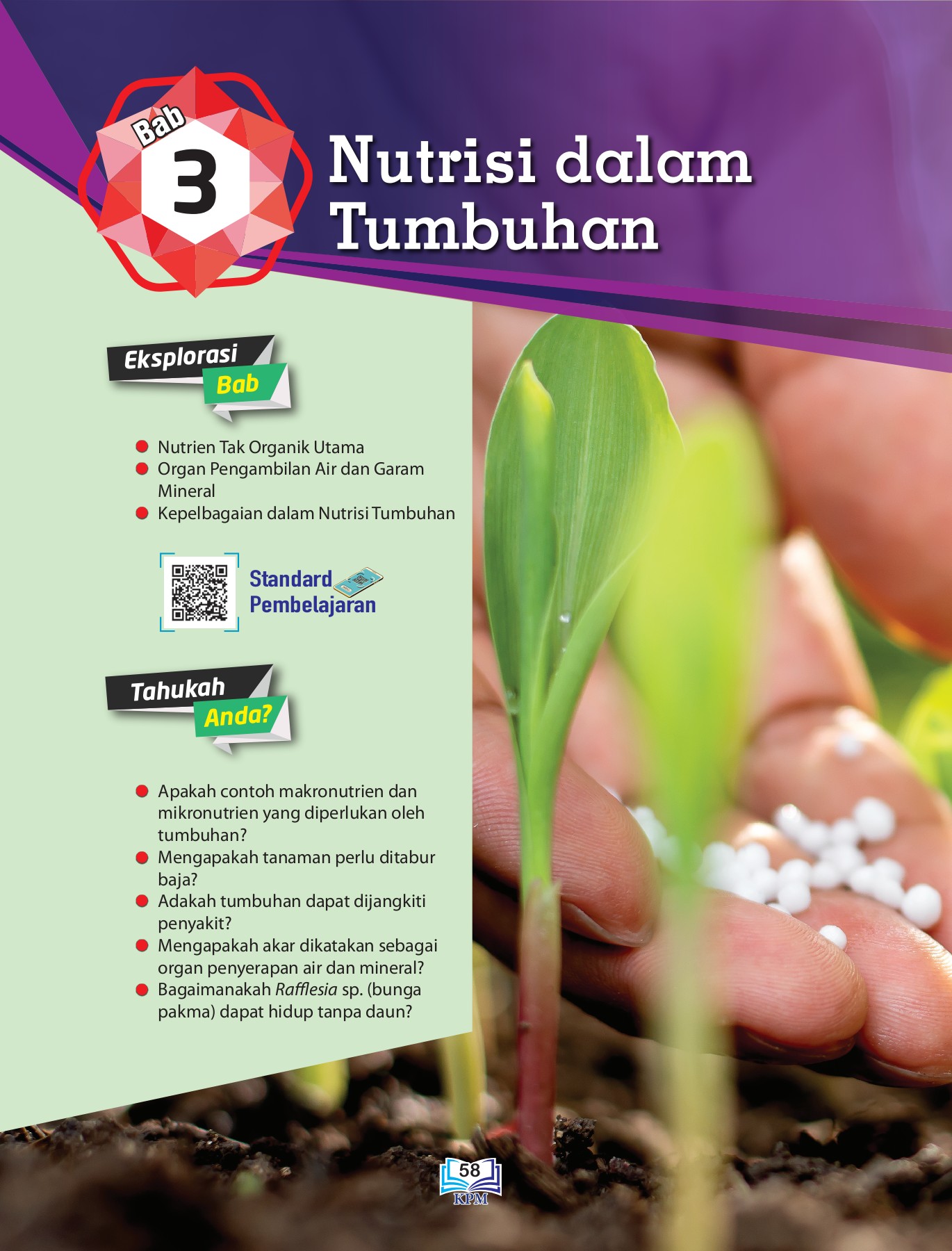 Detail Gambar Letak Udara Di Tumbuhan Nomer 2