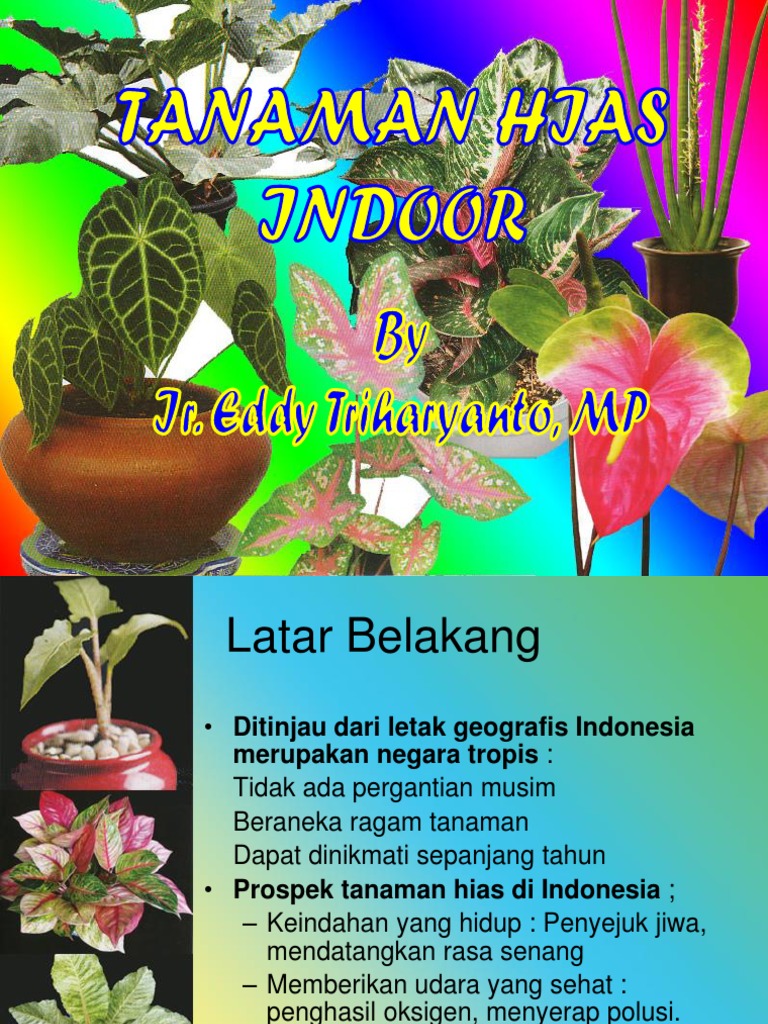 Detail Gambar Letak Udara Di Tumbuhan Nomer 21