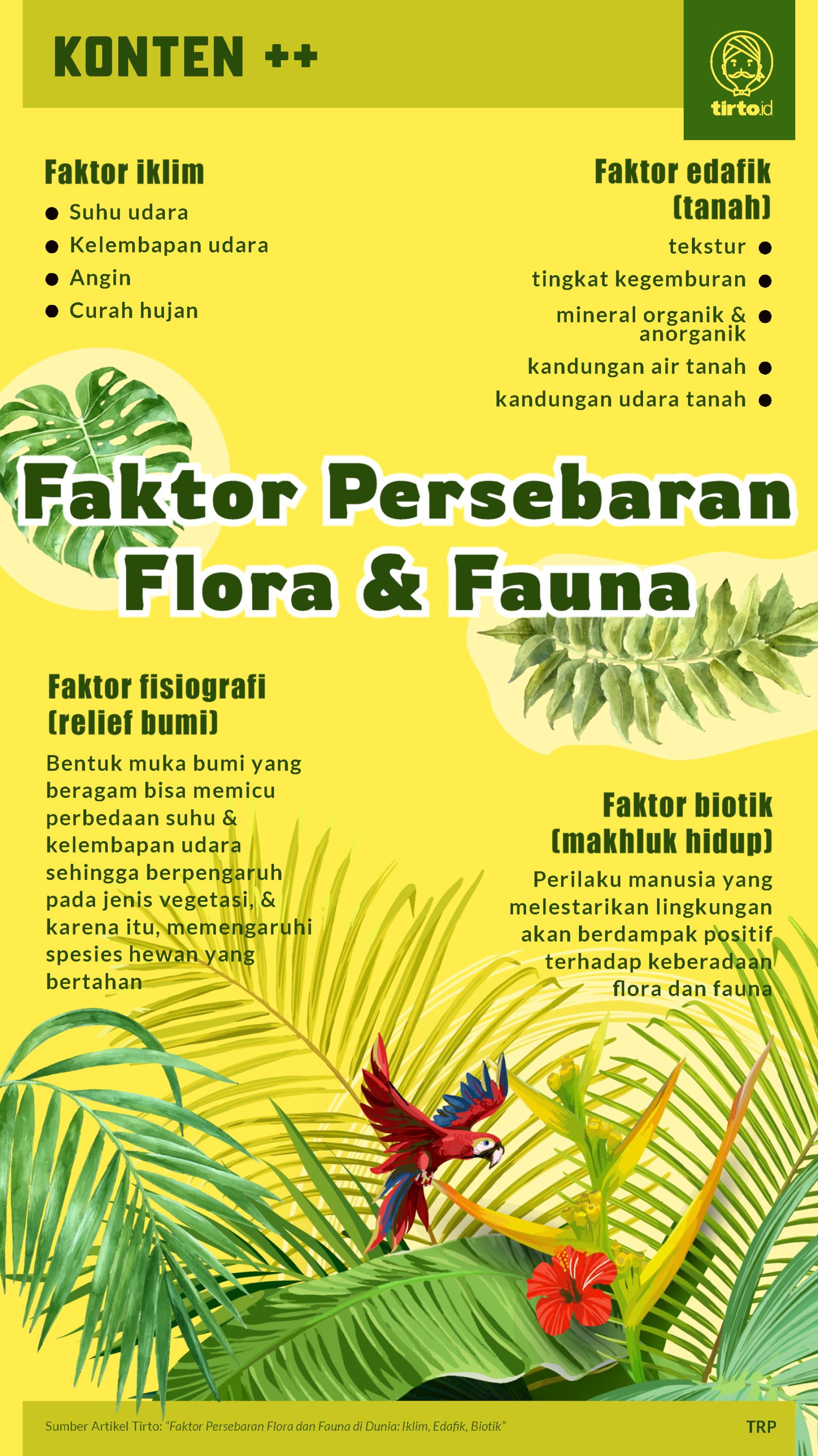 Detail Gambar Letak Udara Di Tumbuhan Nomer 33