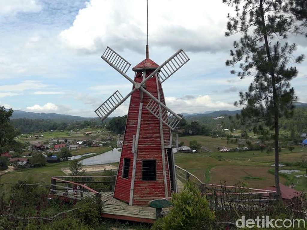 Detail Gambar Letak Udara Di Tumbuhan Nomer 36
