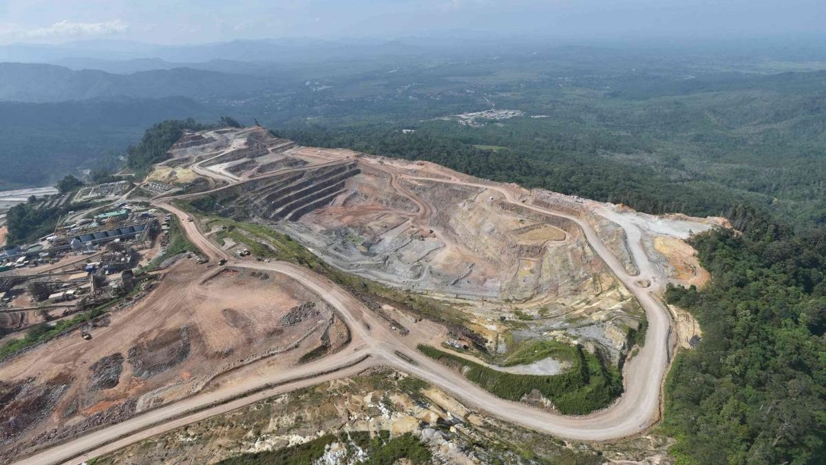 Detail Gambar Letak Udara Di Tumbuhan Nomer 40