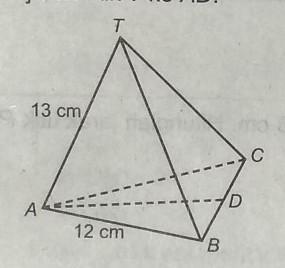 Detail Gambar Limas Segitiga Beraturan Nomer 26