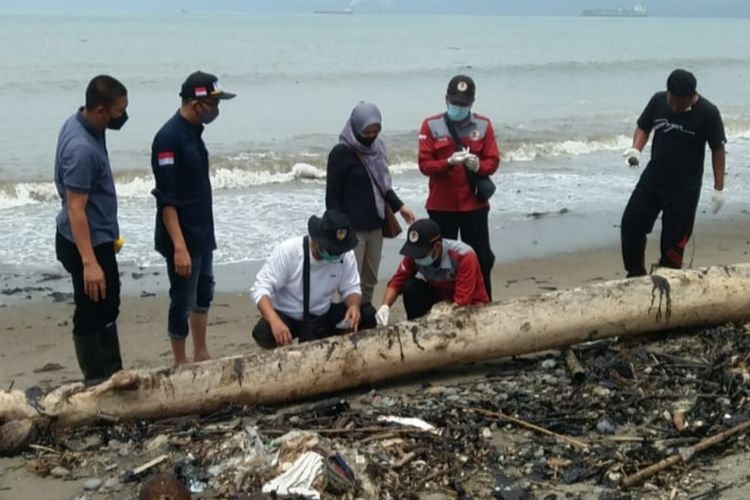 Detail Gambar Limbah Dari Pesisir Pantai Laut Nomer 15