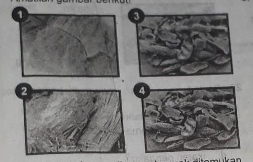 Detail Gambar Limbah Dari Pesisir Pantai Laut Nomer 18