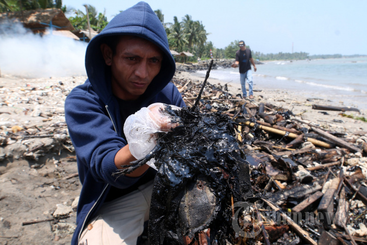 Detail Gambar Limbah Dari Pesisir Pantai Laut Nomer 24