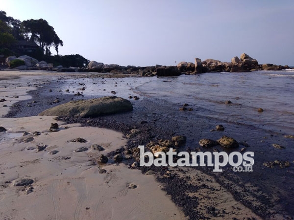 Detail Gambar Limbah Dari Pesisir Pantai Laut Nomer 30