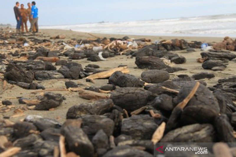 Detail Gambar Limbah Dari Pesisir Pantai Laut Nomer 40