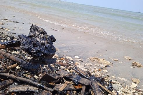 Detail Gambar Limbah Dari Pesisir Pantai Laut Nomer 6