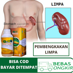 Detail Gambar Limpa Berlemak Nomer 10