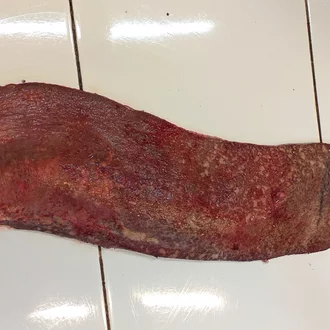 Detail Gambar Limpa Sapi Nomer 30
