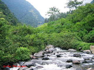 Detail Gambar Lingkungan Alam Sungai Nomer 50