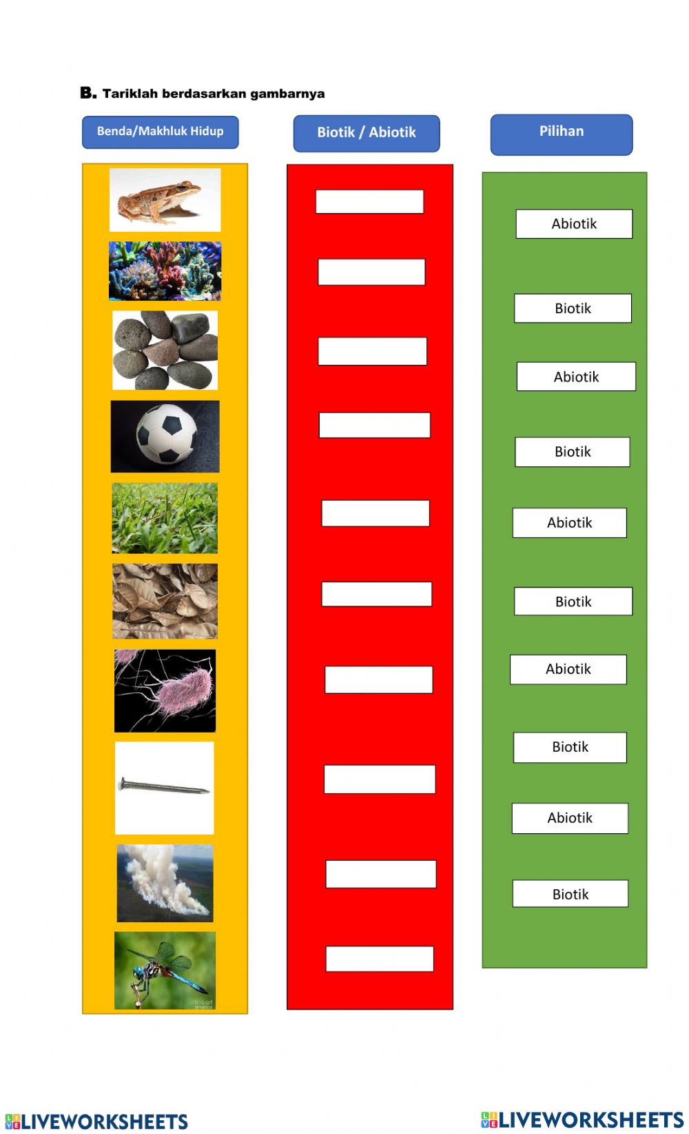 Detail Gambar Lingkungan Biotik Nomer 51