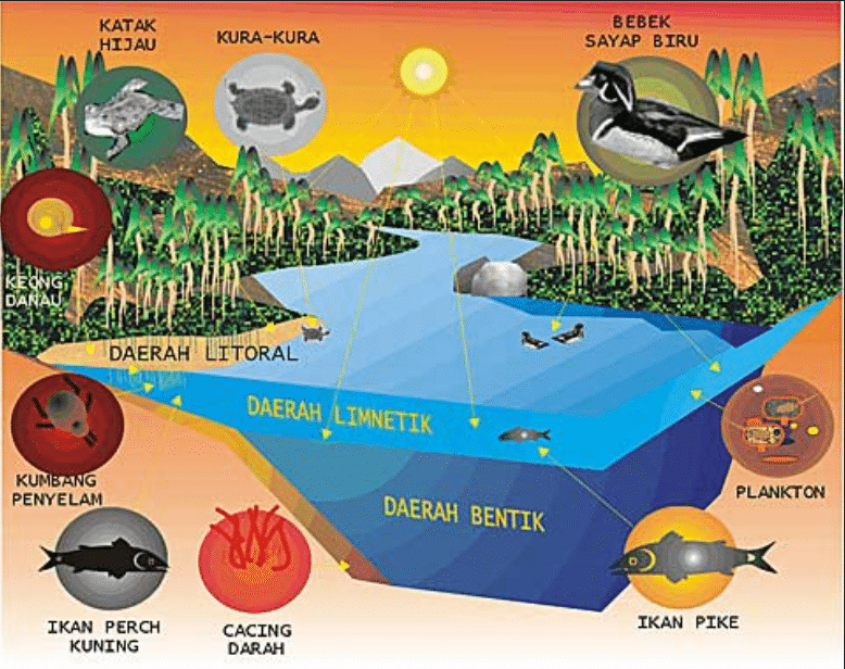 Detail Gambar Lingkungan Biotik Dan Abiotik Nomer 11
