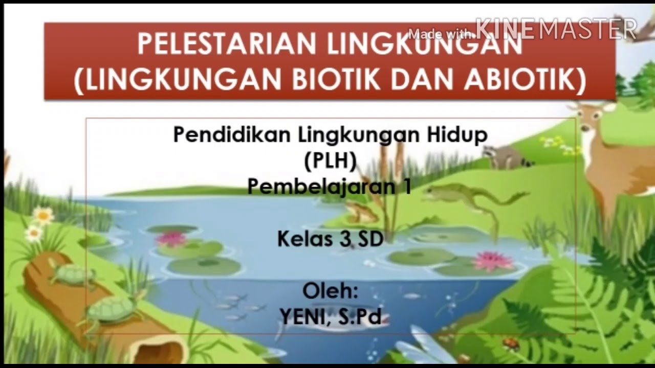 Detail Gambar Lingkungan Biotik Dan Abiotik Nomer 23