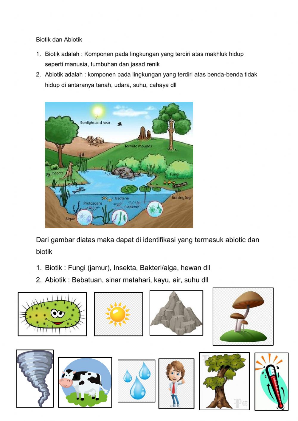 Detail Gambar Lingkungan Biotik Dan Abiotik Nomer 4