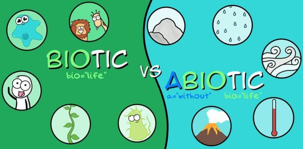 Detail Gambar Lingkungan Biotik Dan Abiotik Nomer 31