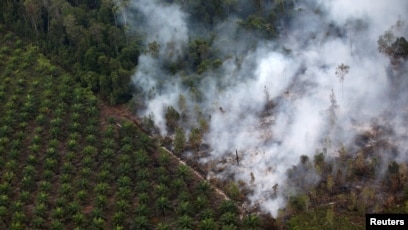 Detail Gambar Lingkungan Rusak Nomer 24