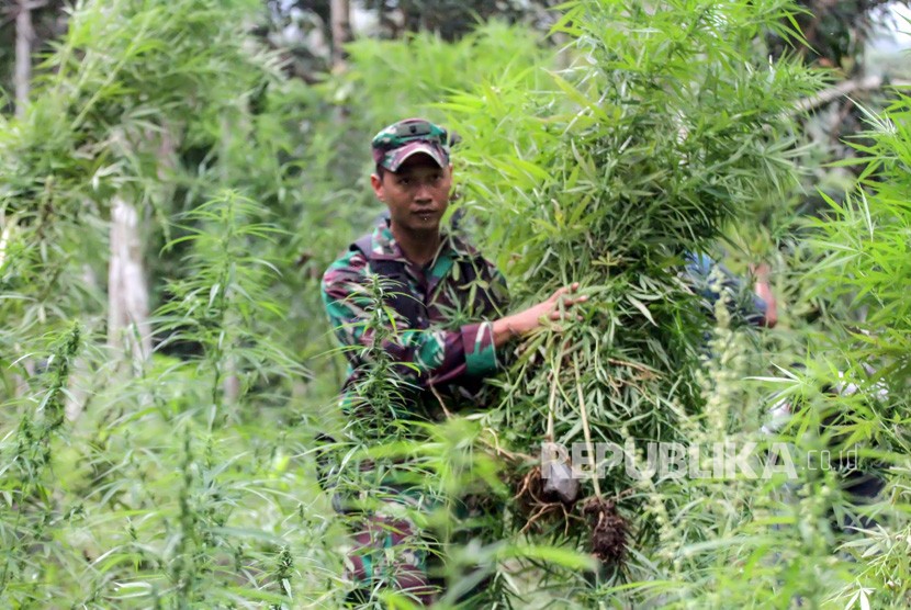 Detail Gambar Lingkungan Rusak Akibat Pestisida Nomer 52