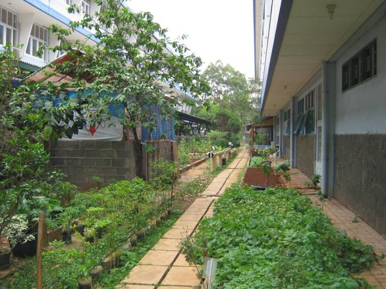 Detail Gambar Lingkungan Sekolah Yang Sehat Nomer 27