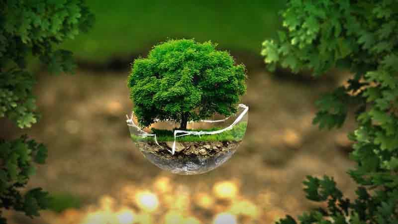 Detail Gambar Lingkungan Yang Sehat Nomer 41