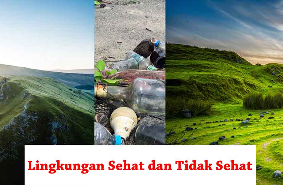 Detail Gambar Lingkungan Yang Sehat Nomer 47