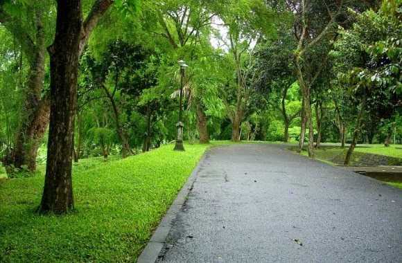 Detail Gambar Lingkungan Yang Sehat Nomer 5