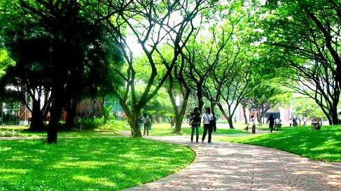 Detail Gambar Lingkungan Yang Tidak Sehat Nomer 19