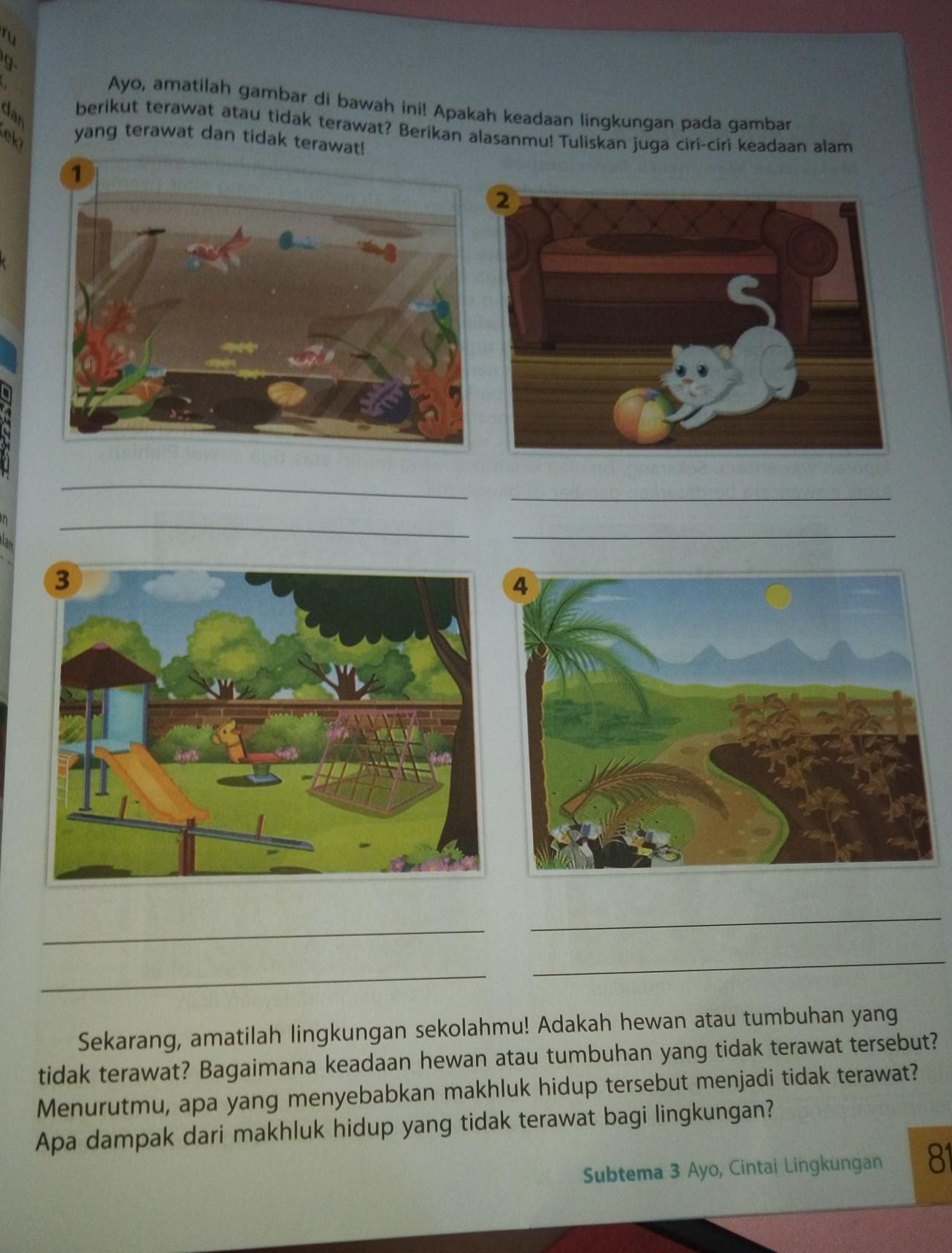 Detail Gambar Lingkungan Yang Tidak Terawat Nomer 6