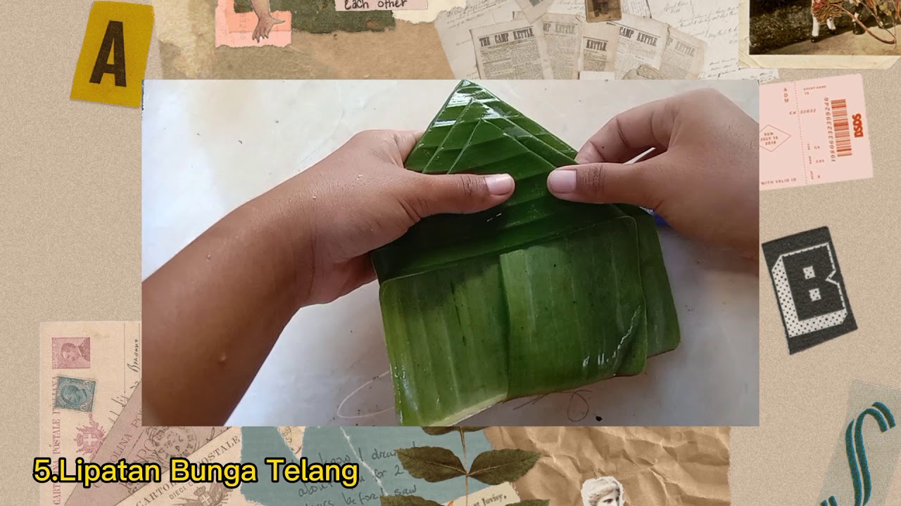 Detail Gambar Lipatan Daun Bunga Telang Nomer 27