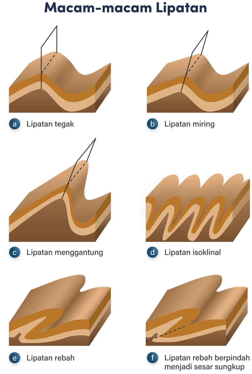 Detail Gambar Lipatan Miring Nomer 29