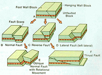 Detail Gambar Lipatan Rebah Nomer 45