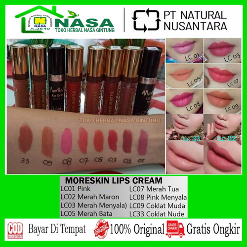 Detail Gambar Lipstik Nasa Nomer 4