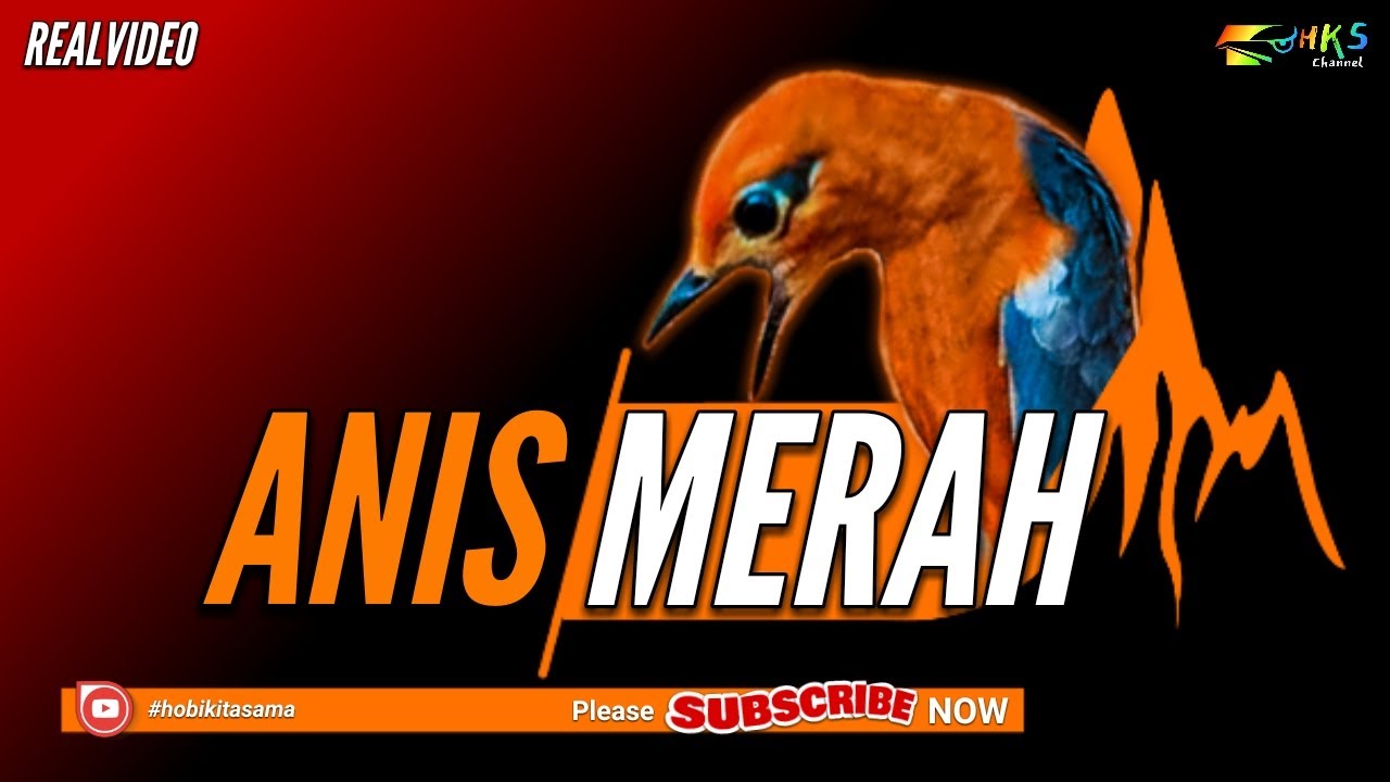 Detail Gambar Logo Anis Merah Nomer 25