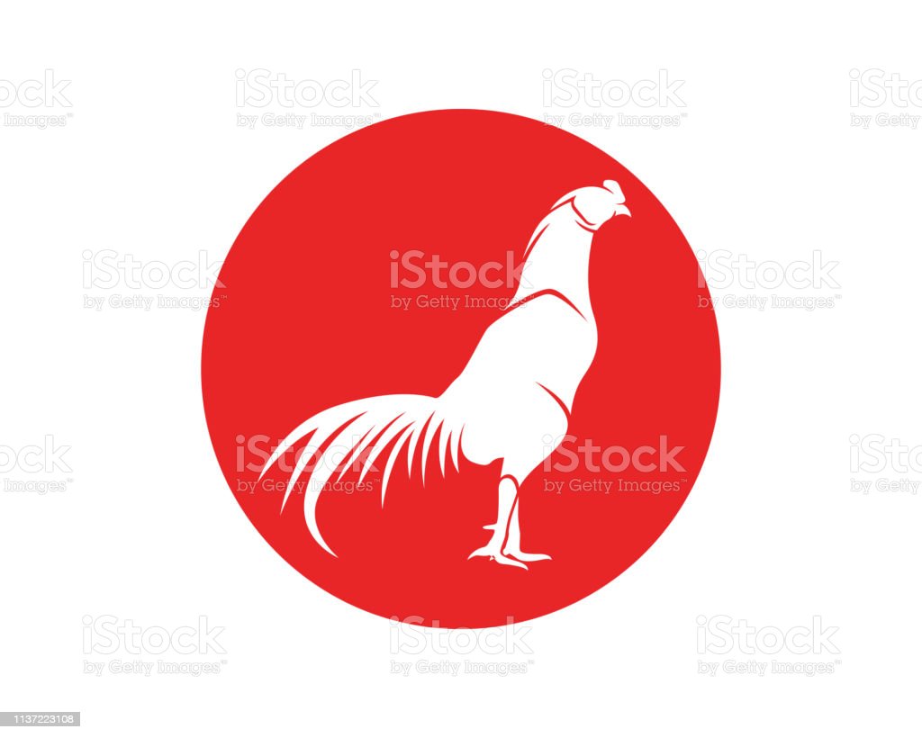Detail Gambar Logo Ayam Jago Nomer 40