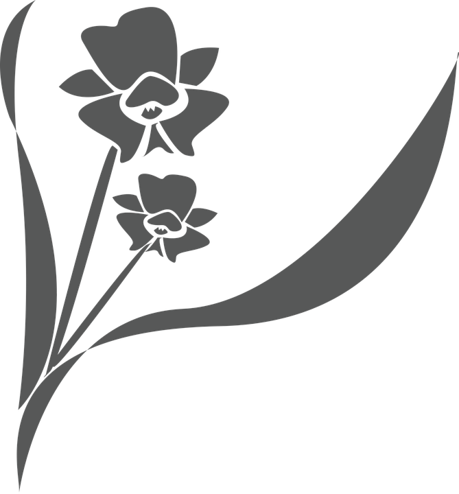 Detail Gambar Logo Bunga Anggrek Nomer 6