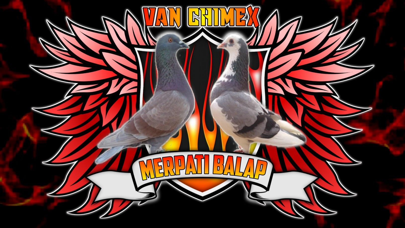 Gambar Logo Burung Merpati - KibrisPDR