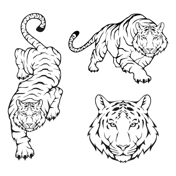 Detail Gambar Logo Harimau Nomer 20