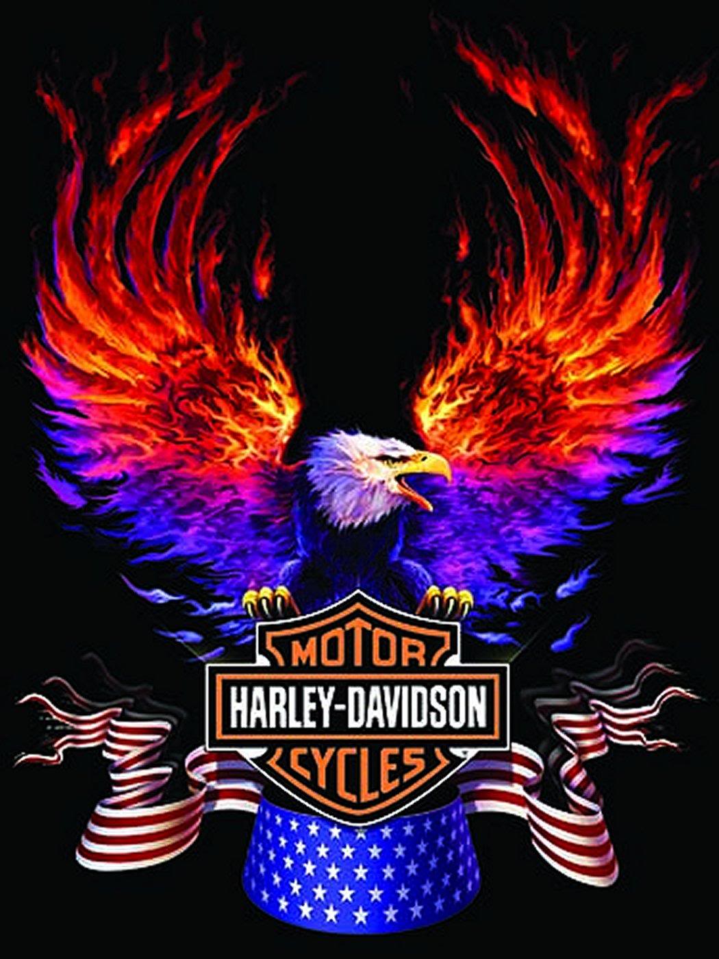 Detail Gambar Logo Harley Davidson Nomer 41