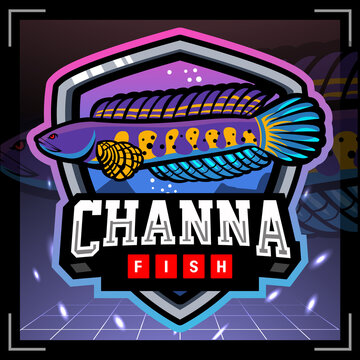 Detail Gambar Logo Ikan Channa Nomer 12