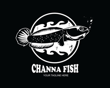 Detail Gambar Logo Ikan Channa Nomer 22