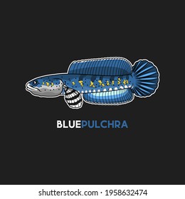 Detail Gambar Logo Ikan Channa Nomer 25