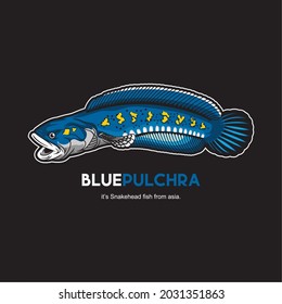 Detail Gambar Logo Ikan Channa Nomer 38