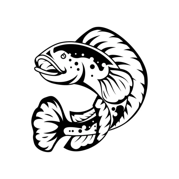 Detail Gambar Logo Ikan Channa Nomer 43