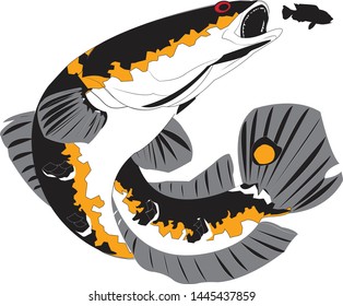 Detail Gambar Logo Ikan Channa Nomer 47