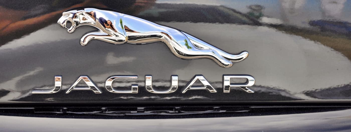 Detail Gambar Logo Jaguar Nomer 18