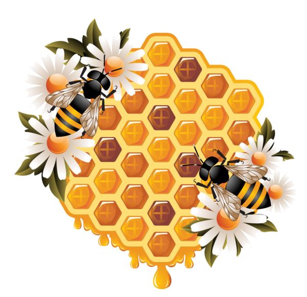 Detail Bienenwabe Clipart Nomer 2