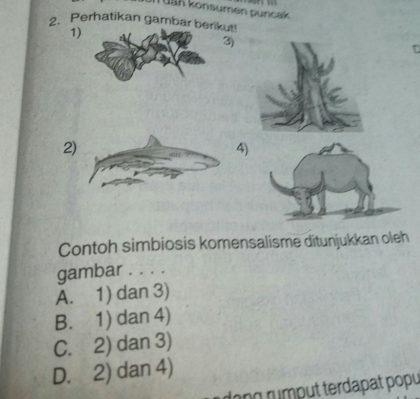 Contoh Simbiosis Komensalisme Brainly - KibrisPDR