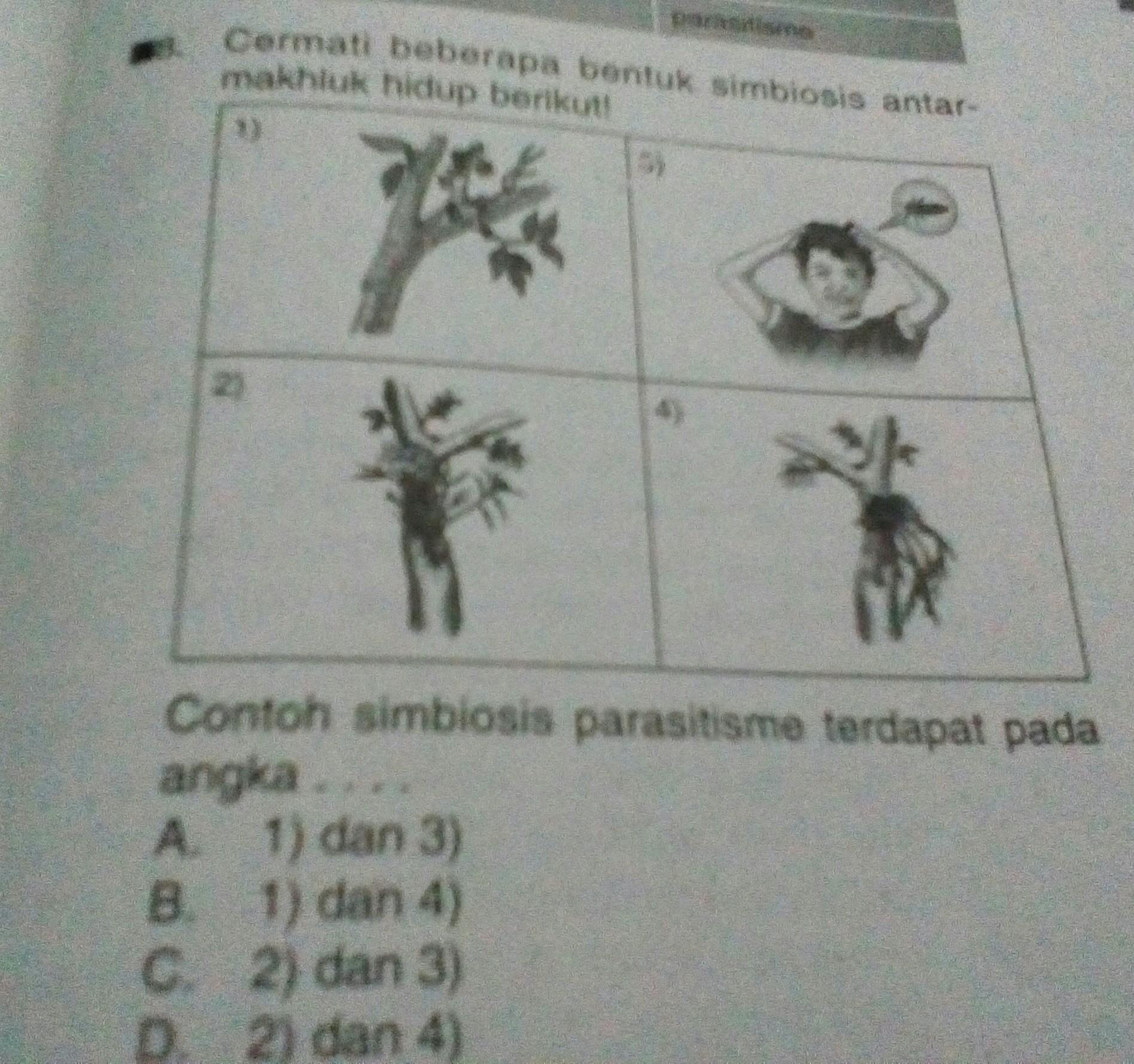 Detail Contoh Simbiosis Komensalisme Brainly Nomer 9